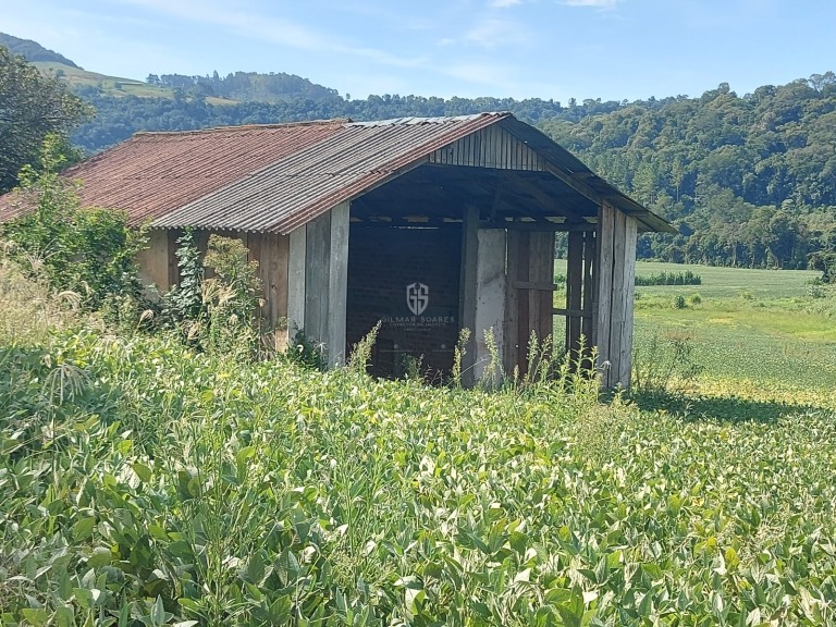 ÁREA DE TERRA DE 36 HA COM 10 ANOS PARA PAGAR