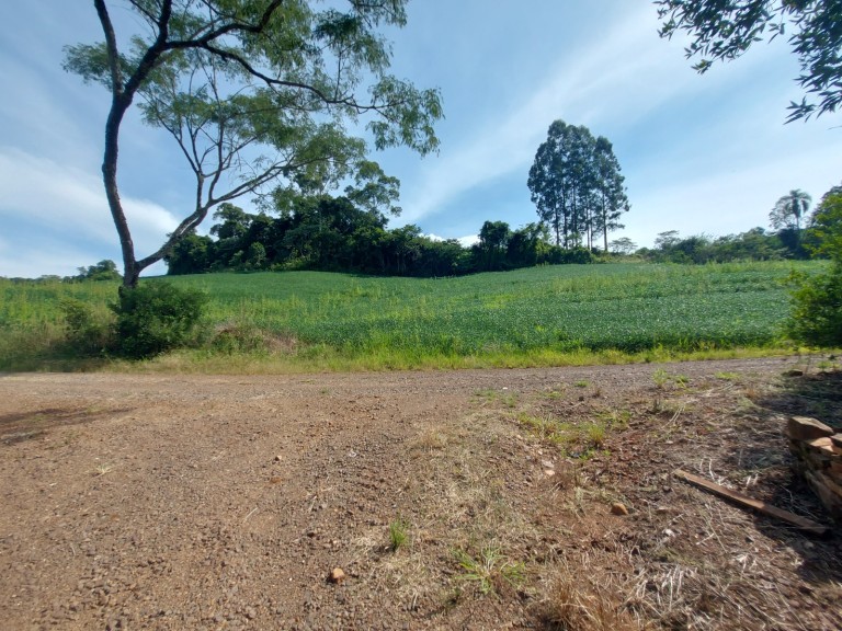 ÁREA DE TERRA DE 36 HA COM 10 ANOS PARA PAGAR