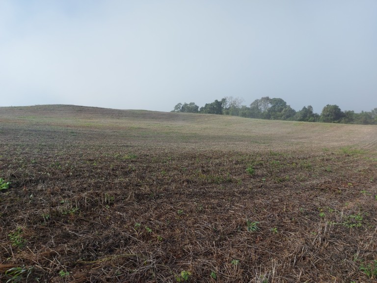 ÁREA DE TERRA DE 36 HA COM 10 ANOS PARA PAGAR
