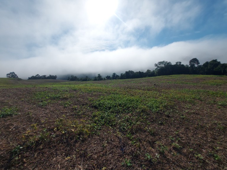 ÁREA DE TERRA DE 36 HA COM 10 ANOS PARA PAGAR