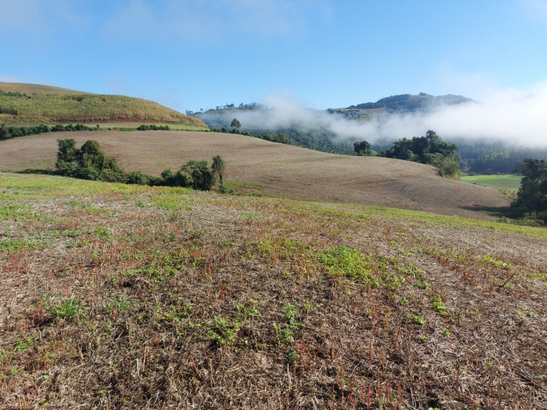 ÁREA DE TERRA DE 36 HA COM 10 ANOS PARA PAGAR