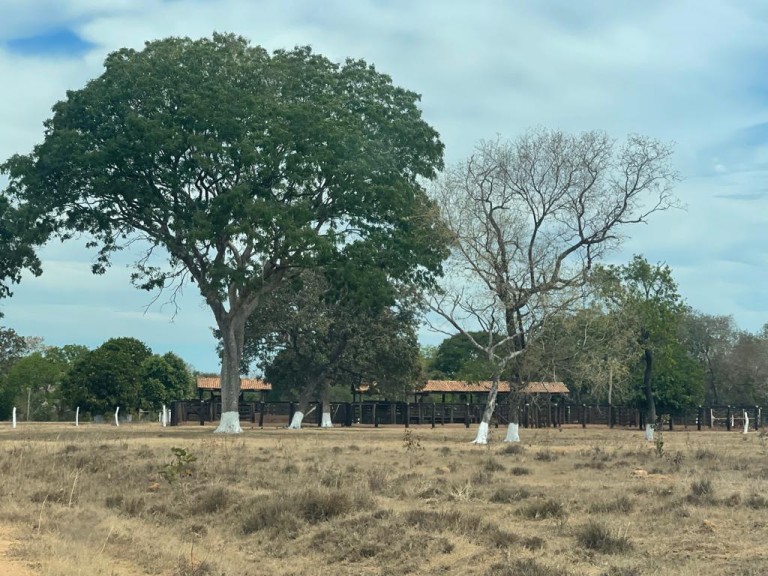 FAZENDA DE 7.260 HA NO TOCANTINS