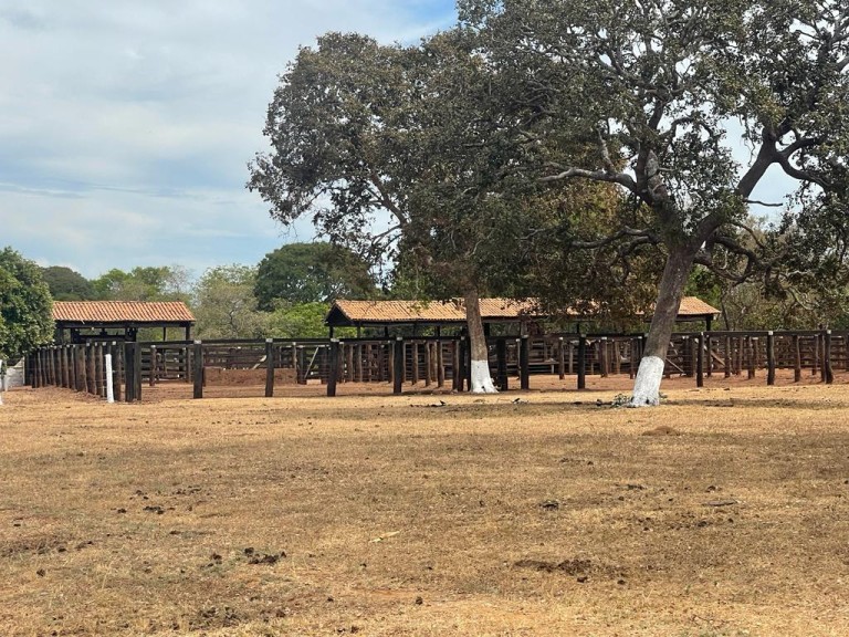 FAZENDA DE 7.260 HA NO TOCANTINS