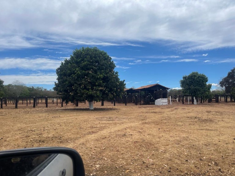 FAZENDA DE 7.260 HA NO TOCANTINS