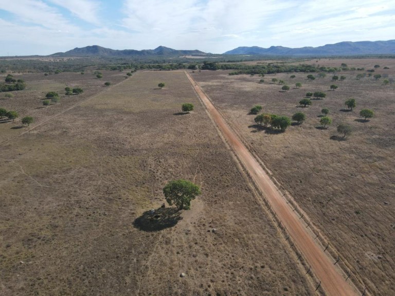 FAZENDA DE 7.260 HA NO TOCANTINS