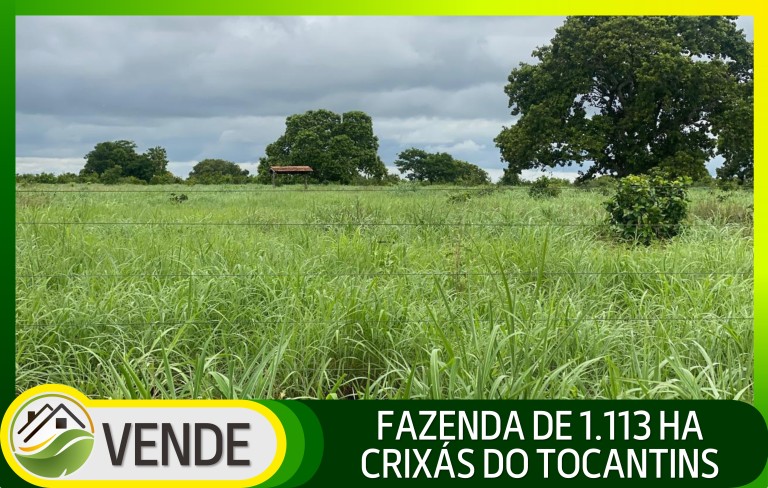 FAZENDA DE 1.113 HA NO TOCANTINS