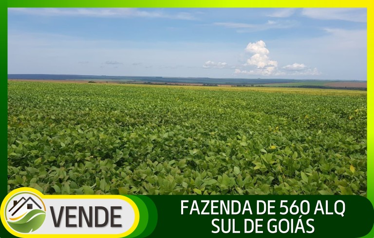 FAZENDA DE 560 ALQUEIRES EM GOIÁS