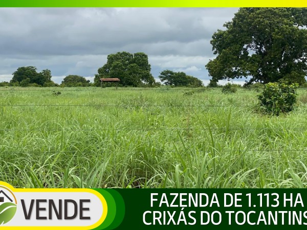 FAZENDA DE 1.113 HA NO TOCANTINS