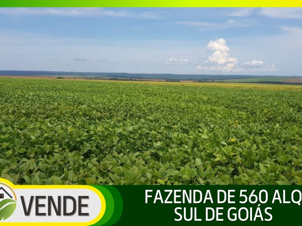 FAZENDA DE 560 ALQUEIRES EM GOIÁS