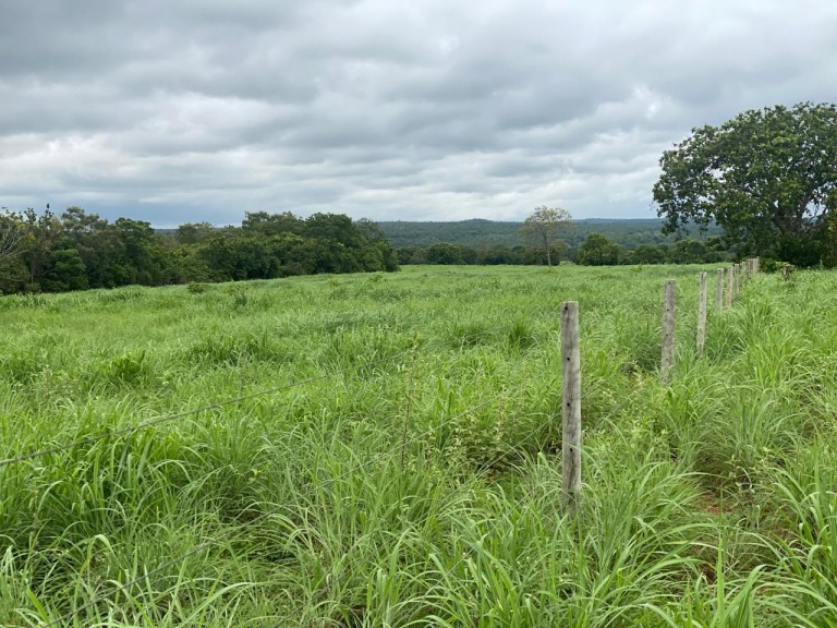 FAZENDA DE 1.113 HA NO TOCANTINS
