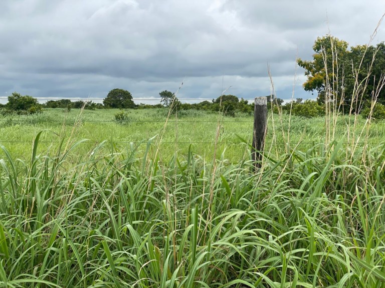 FAZENDA DE 1.113 HA NO TOCANTINS
