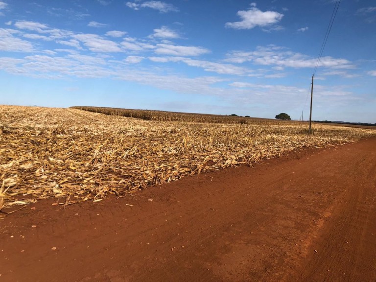 FAZENDA DE 560 ALQUEIRES EM GOIÁS