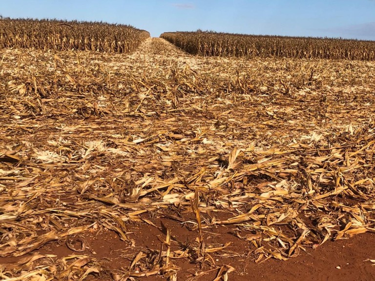 FAZENDA DE 560 ALQUEIRES EM GOIÁS