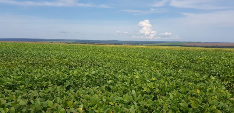 FAZENDA DE 560 ALQUEIRES EM GOIÁS