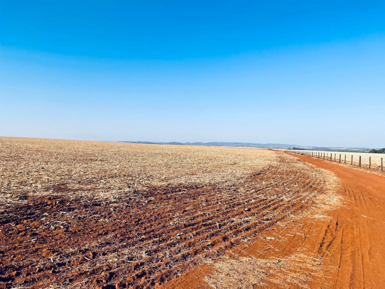 FAZENDA DE 560 ALQUEIRES EM GOIÁS