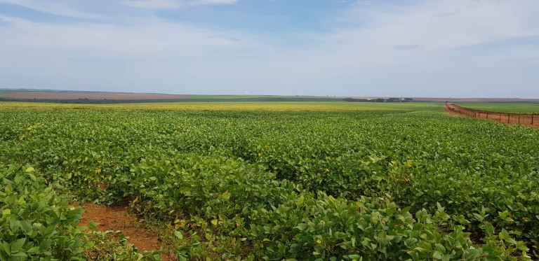 FAZENDA DE 560 ALQUEIRES EM GOIÁS