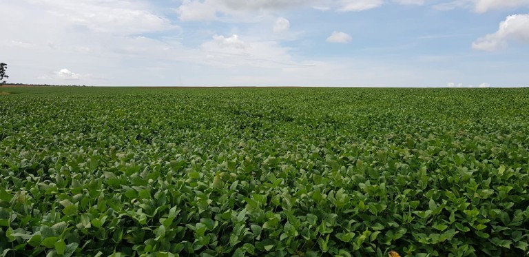 FAZENDA DE 560 ALQUEIRES EM GOIÁS