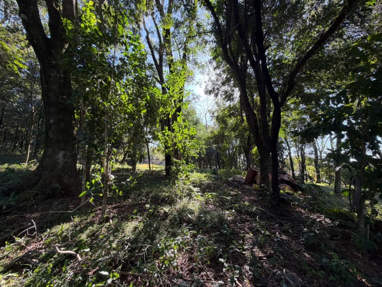 CHÁCARA NO CONDOMÍNIO RURAL PARQUE DA AMIZADE