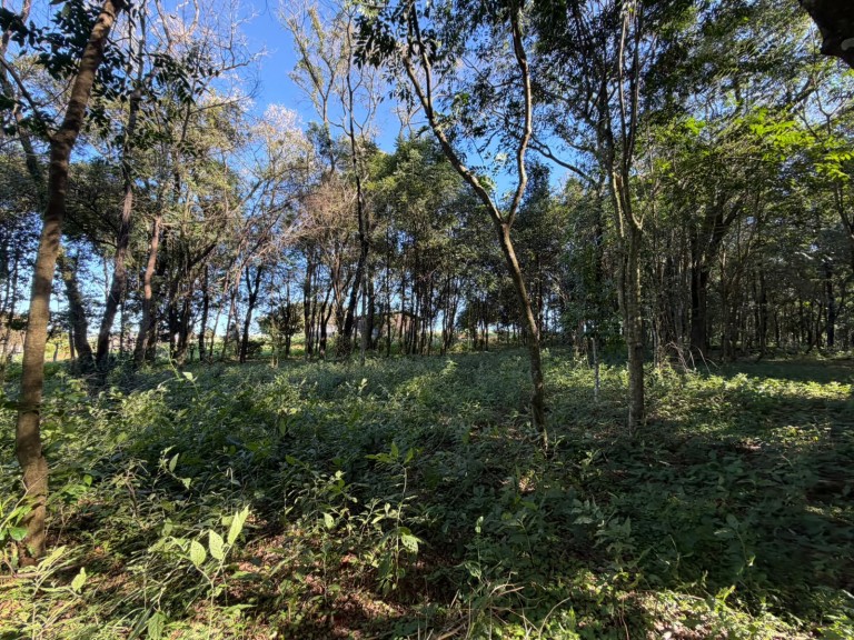 CHÁCARA NO CONDOMÍNIO RURAL PARQUE DA AMIZADE
