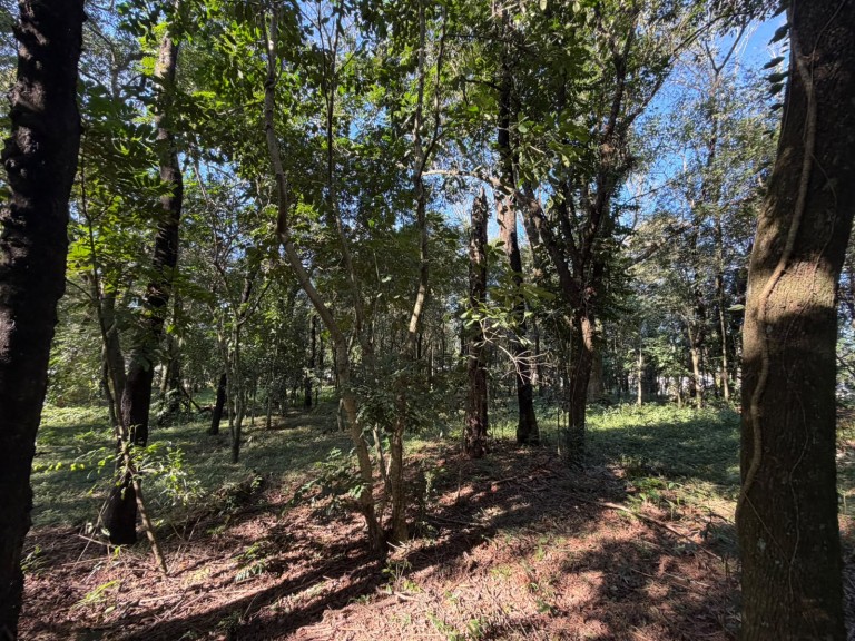 CHÁCARA NO CONDOMÍNIO RURAL PARQUE DA AMIZADE