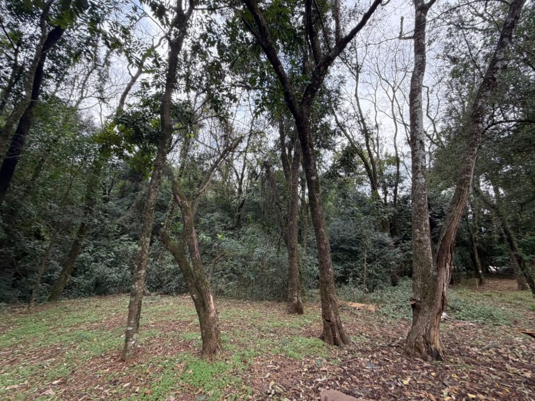 LAVAGEM SARTORI À VENDA EM CONSTANTINA-RS