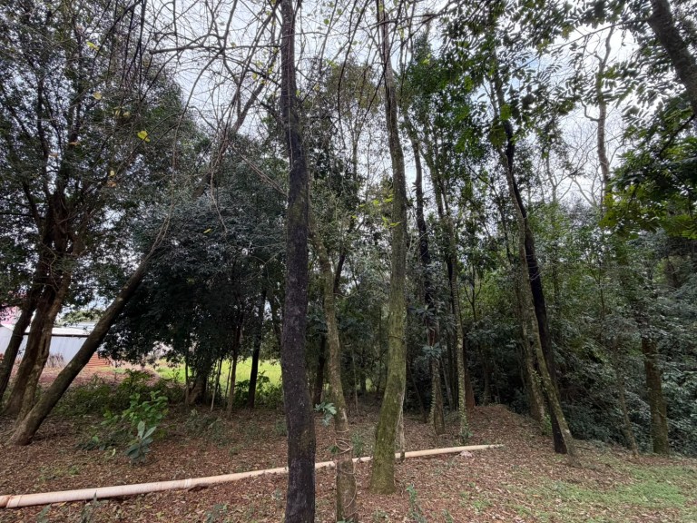 LAVAGEM SARTORI À VENDA EM CONSTANTINA-RS