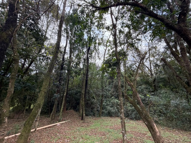 LAVAGEM SARTORI À VENDA EM CONSTANTINA-RS
