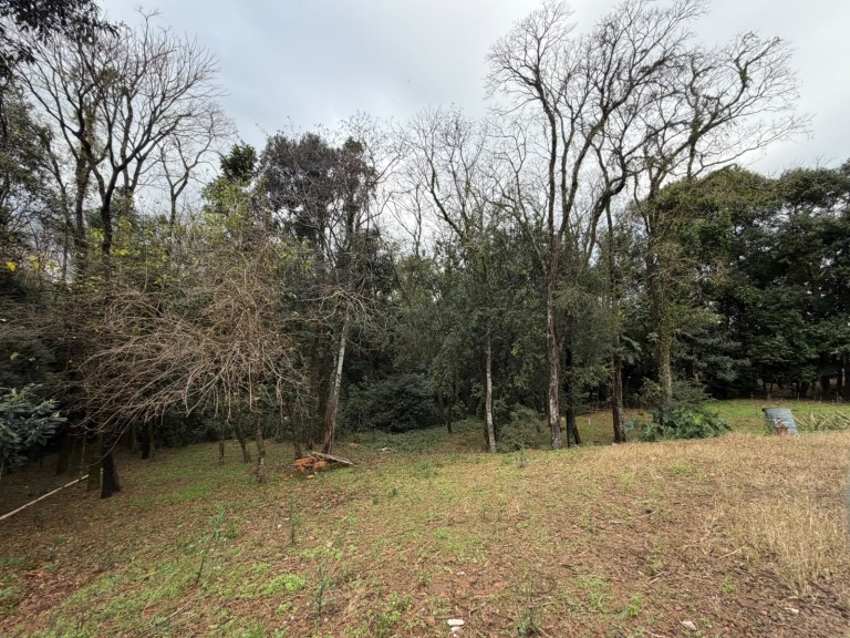LAVAGEM SARTORI À VENDA EM CONSTANTINA-RS