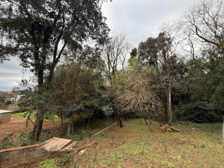 LAVAGEM SARTORI À VENDA EM CONSTANTINA-RS