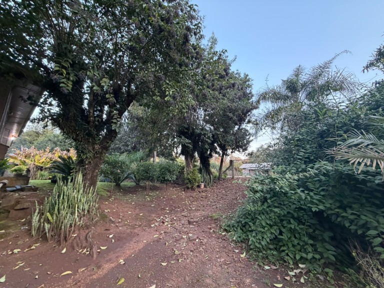 CHÁCARA DE 3.250 M² EM CONSTANTINA-RS