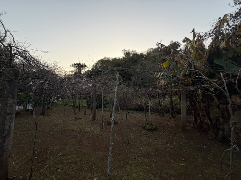CHÁCARA DE 3.250 M² EM CONSTANTINA-RS
