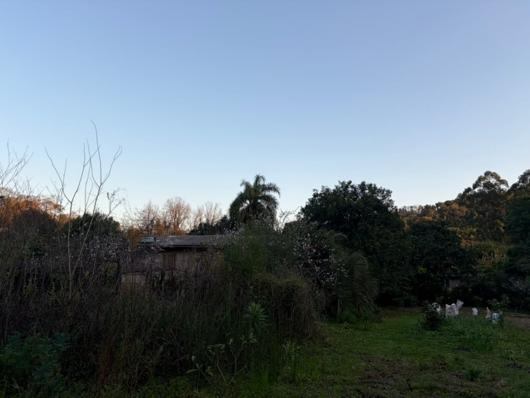 CHÁCARA DE 3.250 M² EM CONSTANTINA-RS