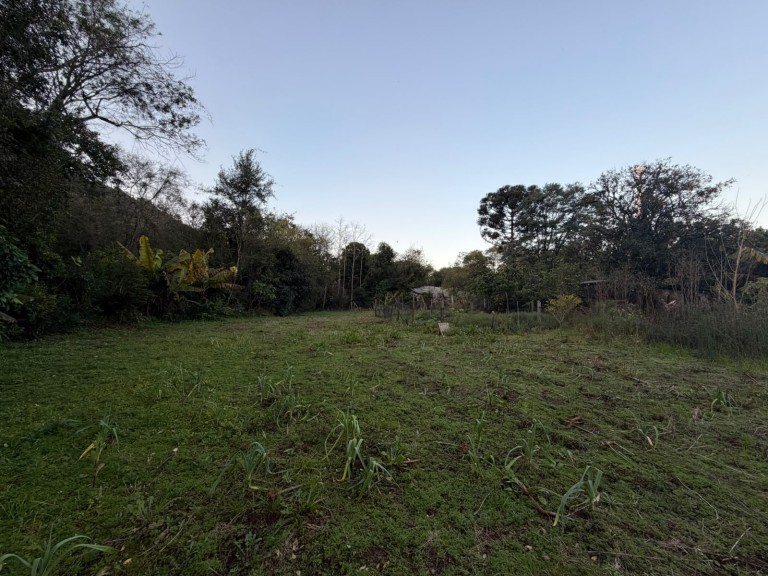 CHÁCARA DE 3.250 M² EM CONSTANTINA-RS