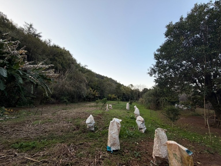 CHÁCARA DE 3.250 M² EM CONSTANTINA-RS