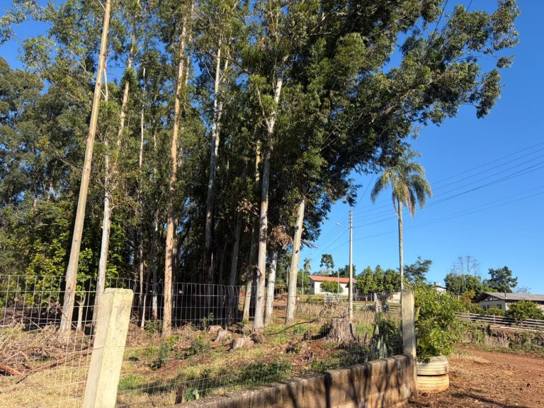 CHÁCARA DE 932 M² EM SÃO JOSÉ DAS MISSÕES-RS