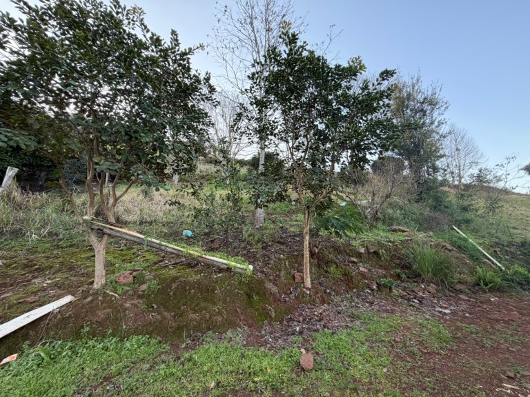 CHÁCARA DE 300 M² EM LIBERATO SALZANO-RS