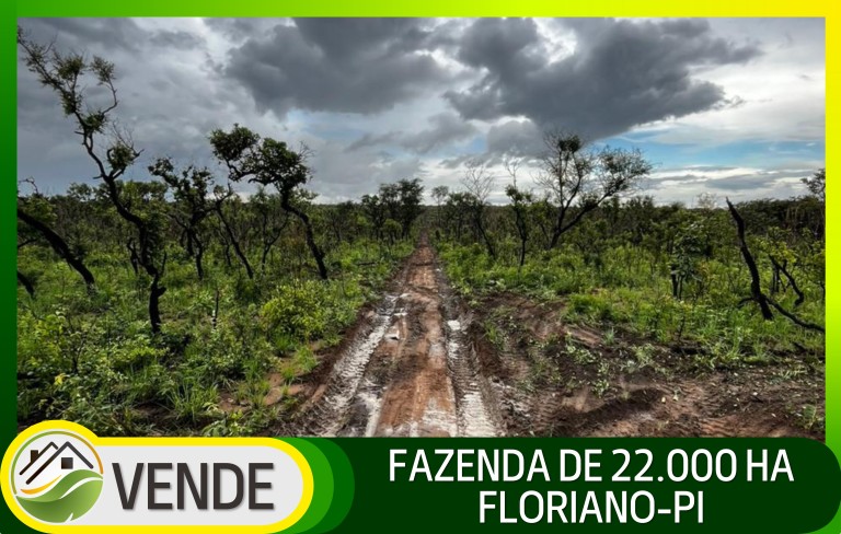 FAZENDA DE 22.000 HA NO PIAUÍ