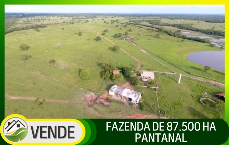 FAZENDA DE 87.500 HA NO PANTANAL