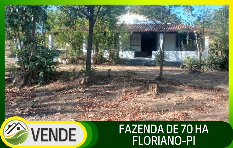 FAZENDA DE 70 HA POR R$ 1.000.000,00