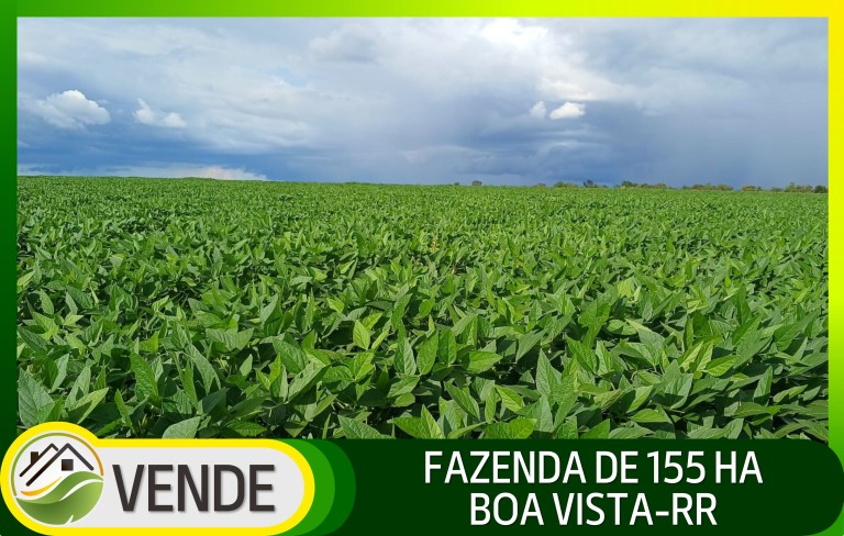 FAZENDA DE 155 HA EM RORAIMA