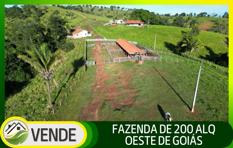 FAZENDA DE 200 ALQUEIRES COM 12 ANOS PARA PAGAR