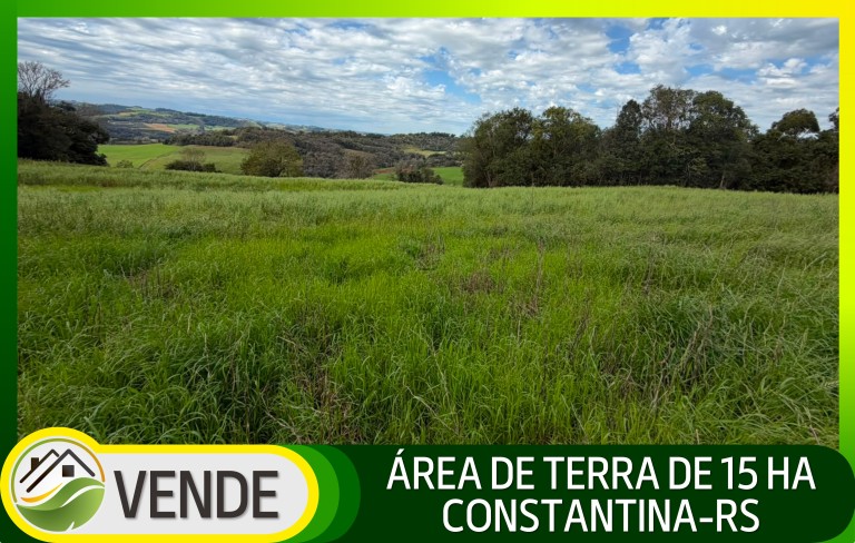 ÁREA DE TERRA DE 15 HA EM CONSTANTINA-RS
