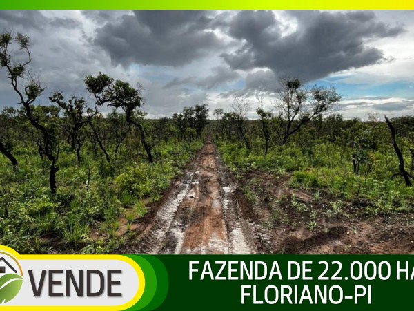 FAZENDA DE 22.000 HA NO PIAUÍ