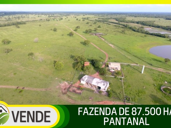 FAZENDA DE 87.500 HA NO PANTANAL
