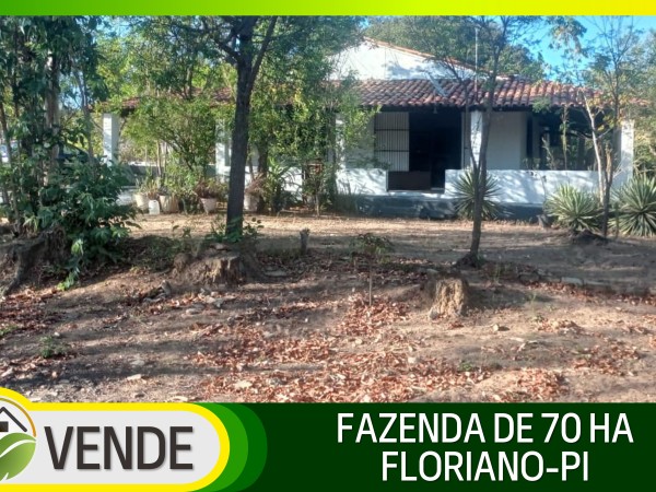 FAZENDA DE 70 HA POR R$ 1.000.000,00