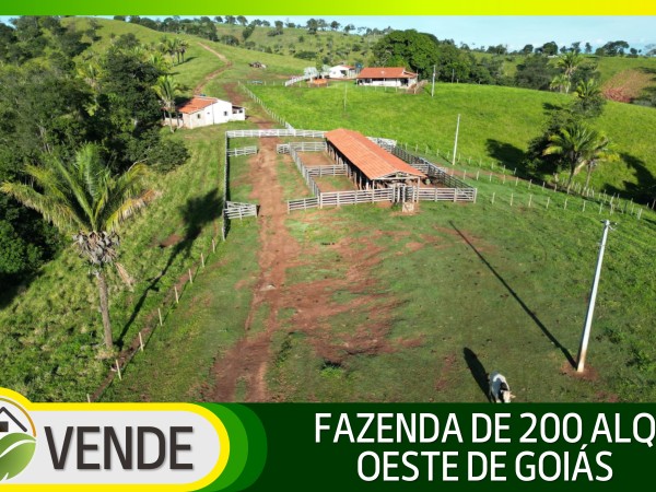 FAZENDA DE 200 ALQUEIRES COM 12 ANOS PARA PAGAR