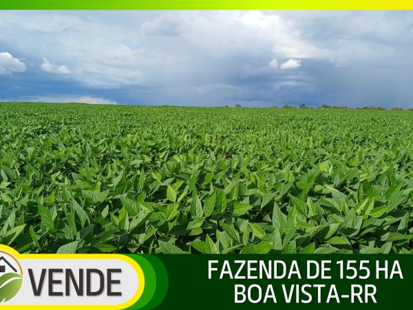FAZENDA DE 155 HA EM RORAIMA