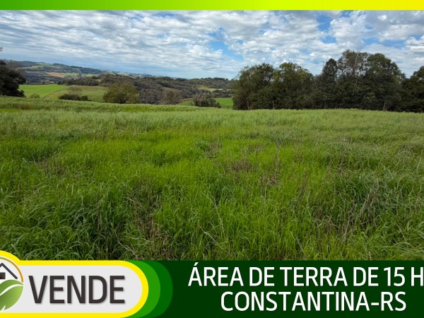 ÁREA DE TERRA DE 15 HA EM CONSTANTINA-RS