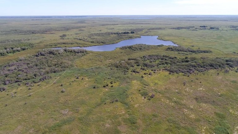 FAZENDA DE 87.500 HA NO PANTANAL