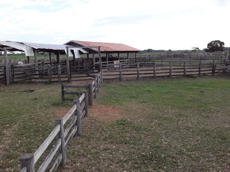 FAZENDA DE 87.500 HA NO PANTANAL
